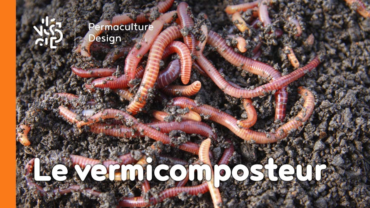 La minute permaculture #10 : LE VERMICOMPOSTEUR, UNE BOITE A VERS POUR FAIRE SON COMPOST