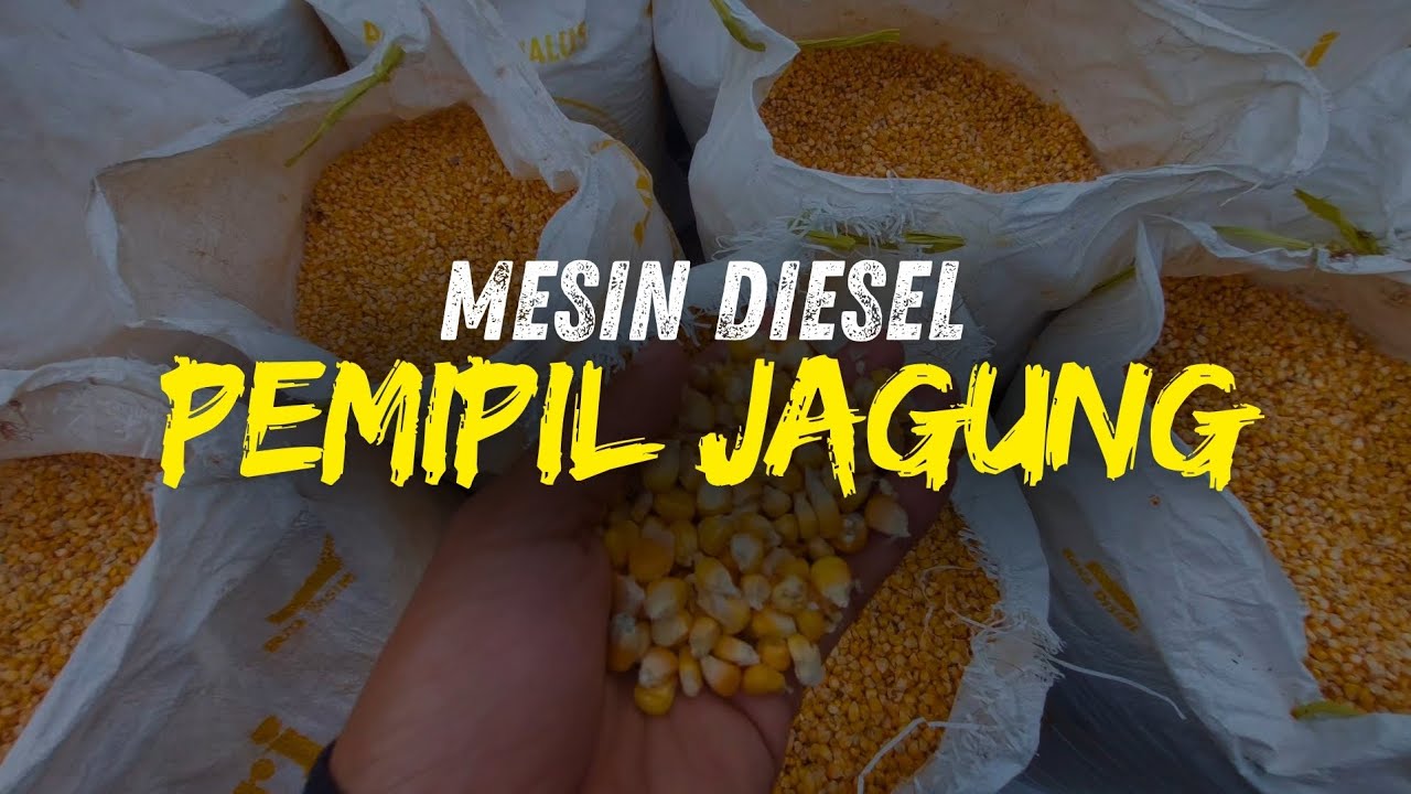 BLOWER JAGUNG CEPAT DAN EFISIEN MESIN DIESEL JAGUNG OTOMATIS PISAH DARI BONGOL