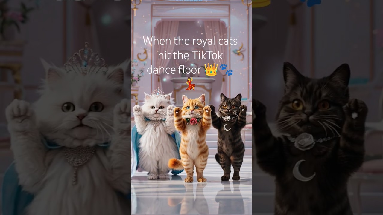 Princess Cats Dancing PT2 💃 Meowgical Moves Return 