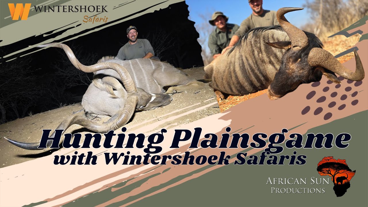 Hunting the bulls of Limpopo - Plains Game and night hunting with Wintershoek Safaris #huntingvideos