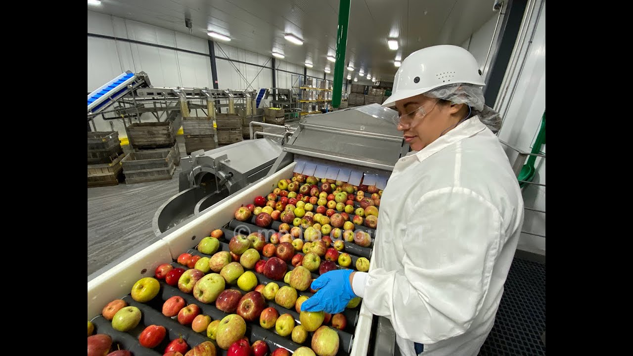 The Land: Making applesauce at Peterson Farms, Inc.