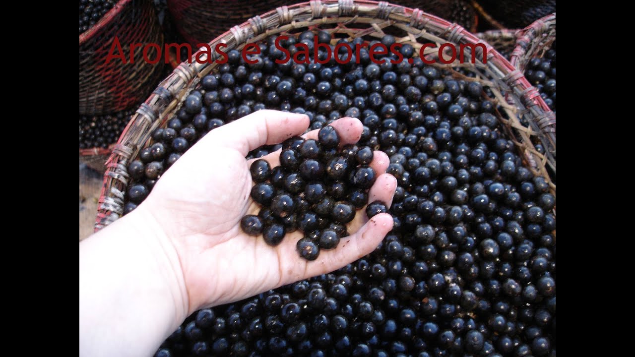 AÇAÍ - DESPOLPA MANUAL