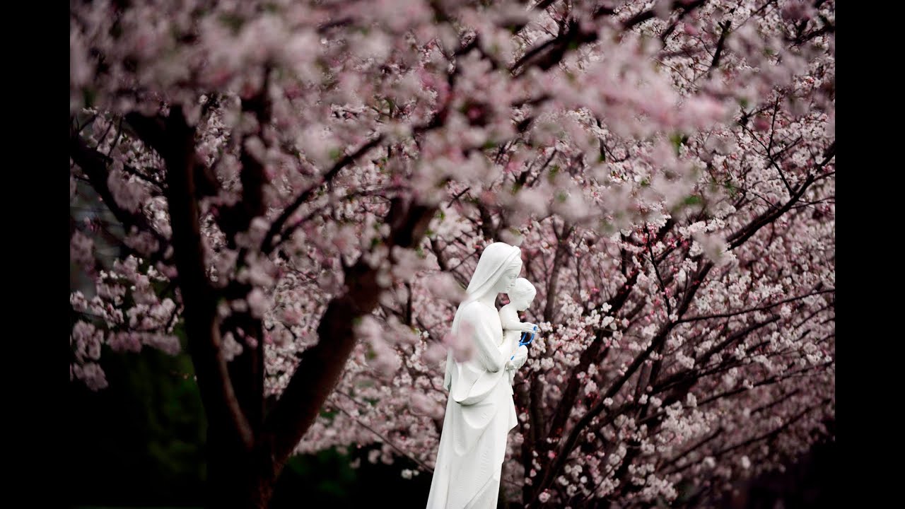 A Reflection on Mary