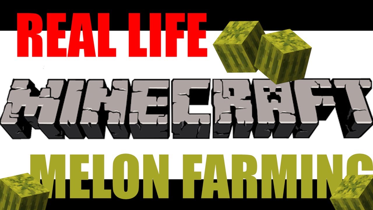 IRL MINECRAFT MELON FARMING (CLICKBAIT)