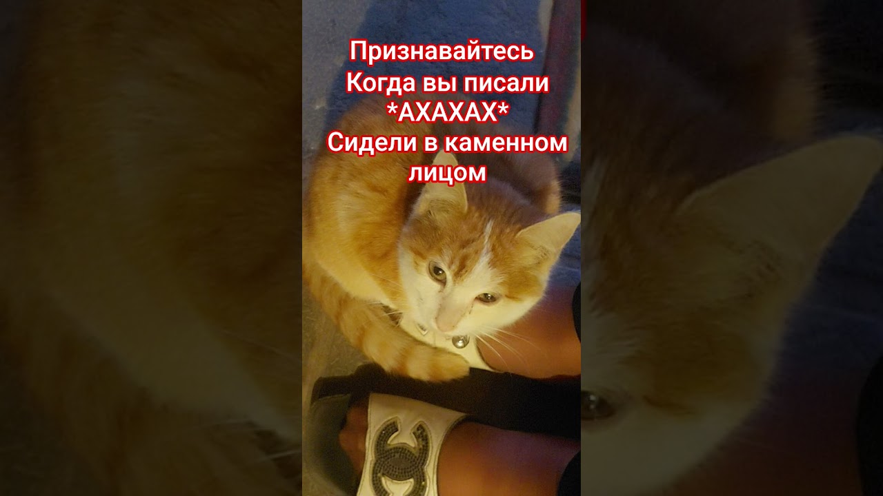 Я да 
