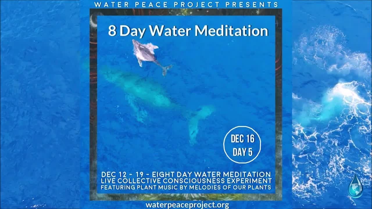 DEC 16 Day 5 of 8 Day Water Meditation & Consciousness Experiment Featuring Plant Music -2025