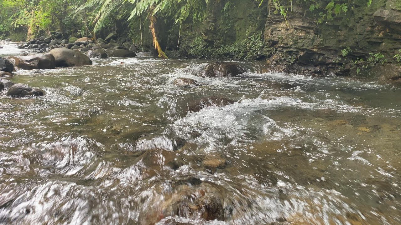 Natural River White Noise | Relaxing Water Sounds for Insomnia