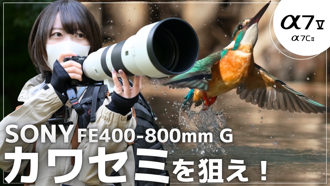 【超望遠】SONY α7C II と α7V でカワセミを狙う！｜Sony α7C II / α7V × FE 400-800mm G