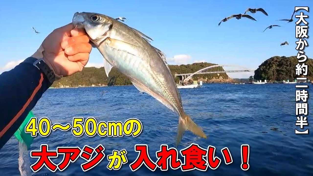 ページ75　釣れない冬にオススメの場所！【人気上昇中の串本カセ釣り】