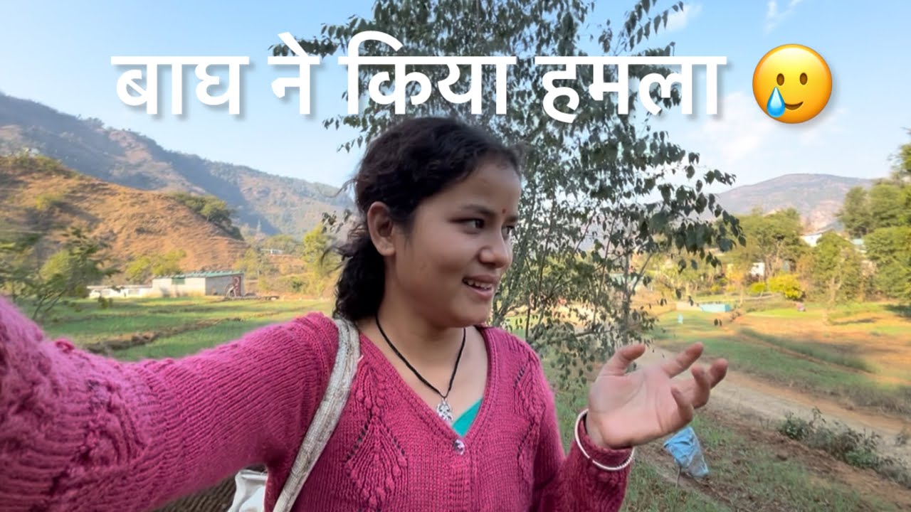 बाघ ने किया हमला!! #bhawanadancer #villagelife #vlog #uttarakhand #pithoragarh #kumauni #1million 