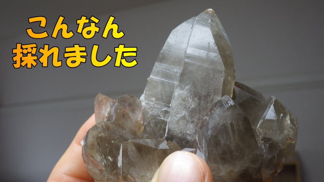 【良回】良ガマを開けていく様子をご覧ください