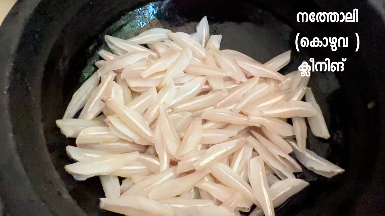 നത്തോലി (കൊഴുവ ) ക്ലീനിങ്  | How to Clean Natholi Fish | Anchovies Fish Cleaning