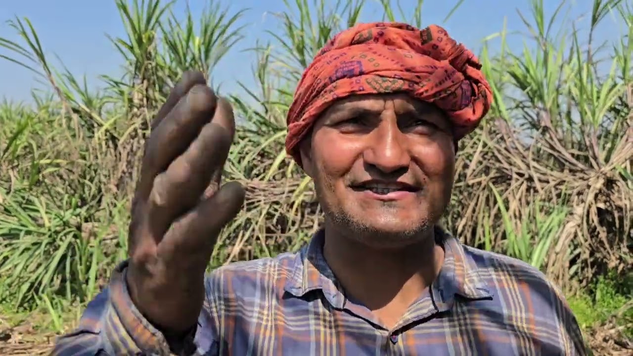 खेत की शुरुआत बिगड़ गई थी लेकिन इस दवाई ने जबरदस्त उत्पादन दिलाया दो बार लगाने से मिलता है जबरदस्त..