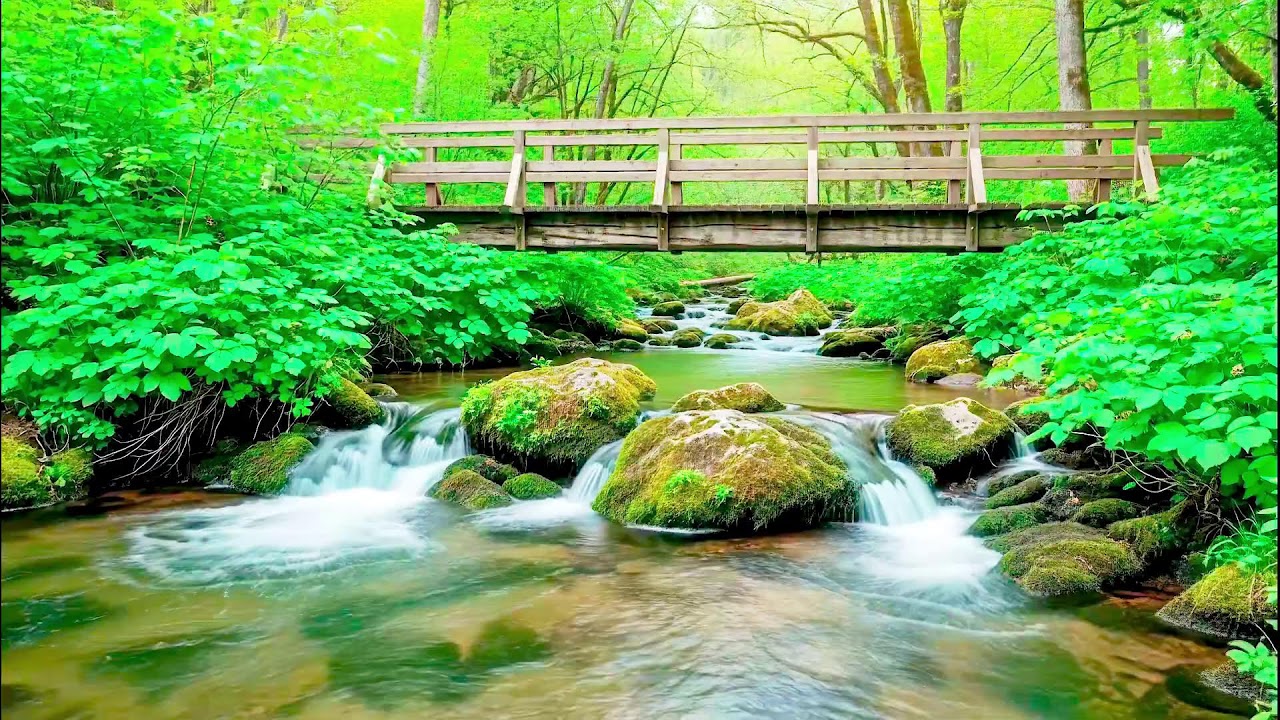 Gentle River Sound for Deep Sleep | Soothing Audio Therapy for Mental Wellness