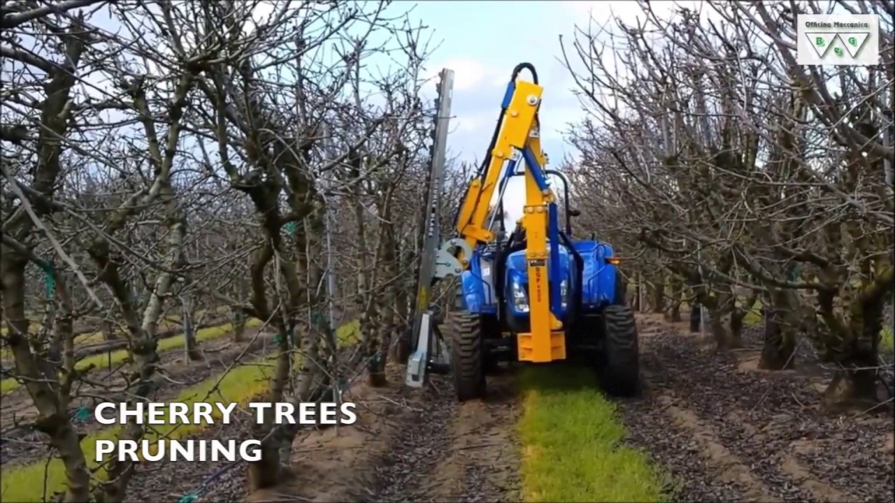 BeG - Heavy Duty Orchard Pruners Double Blade Cutting bar