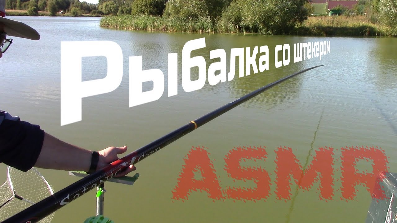 Рыбалка со штекером. АСМР для рыболовов. Pole Fishing ASMR.