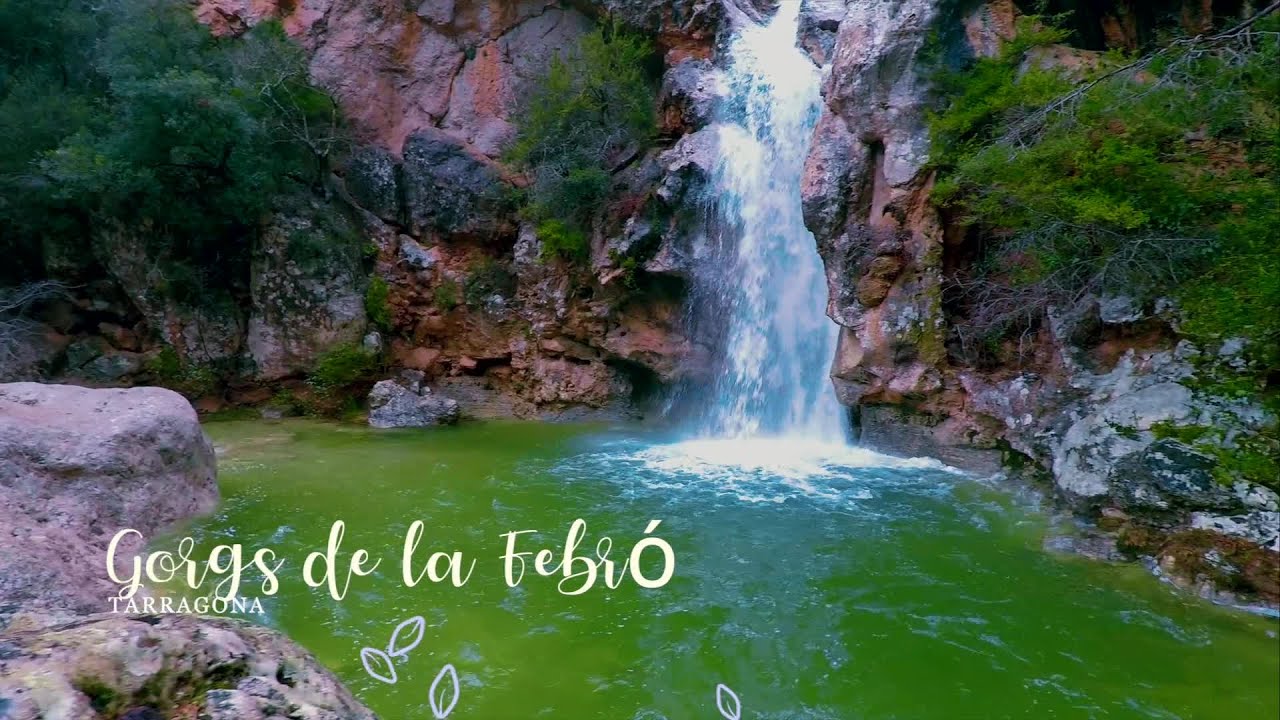 Gorgs de La Febró