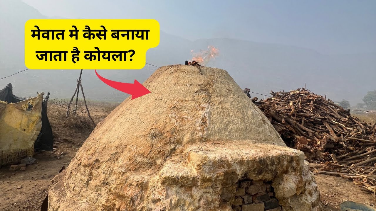 मेवात मे कोयला कैसे बनाया जाता है | The Vlogs File | 