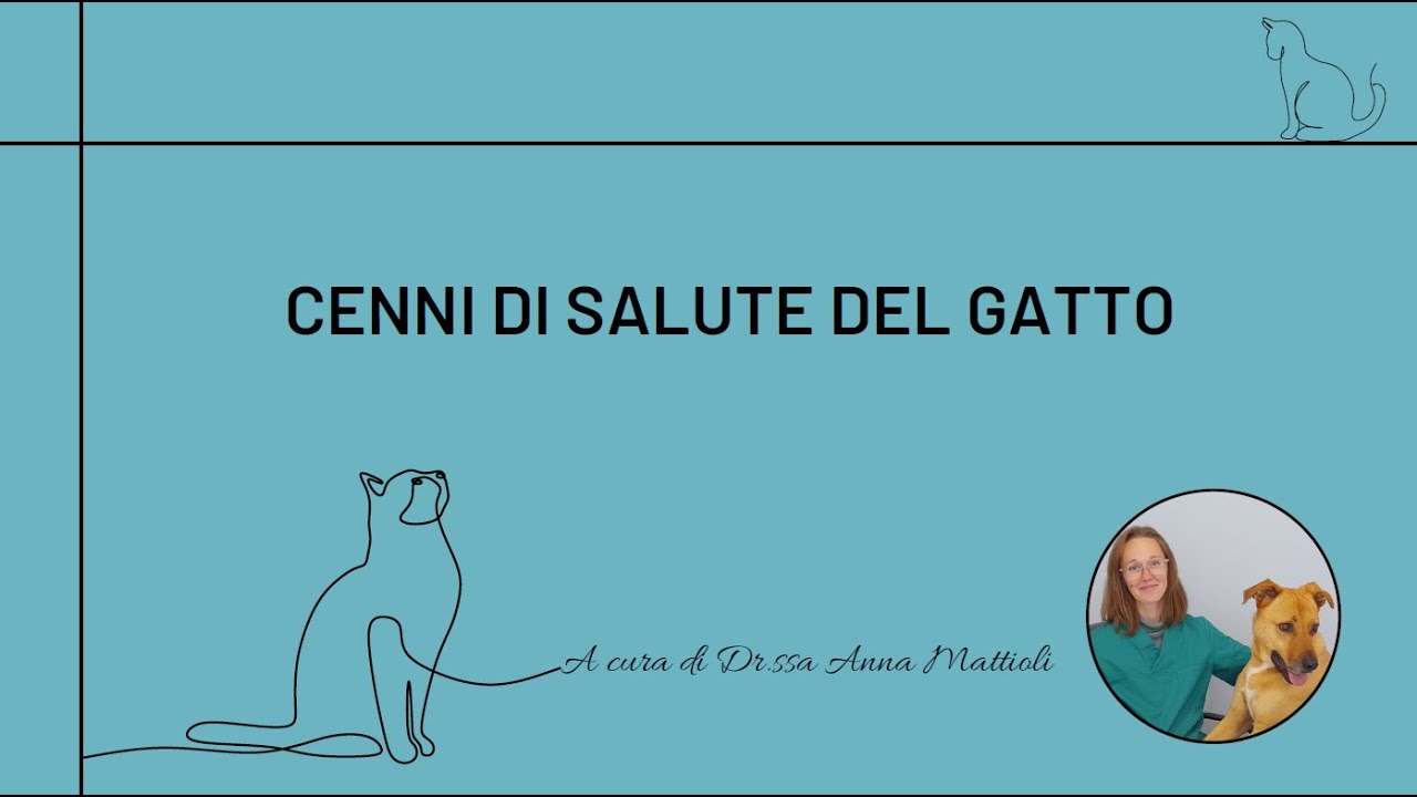 Sesta serata - Garantire la salute del gatto