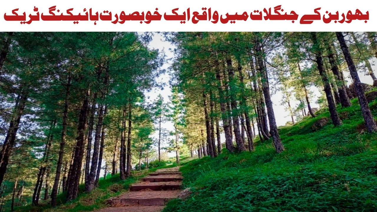 Bhurban Hiking Track | A beautiful hiking track from Kashmiri Bazaar to Forest house Bhurban.