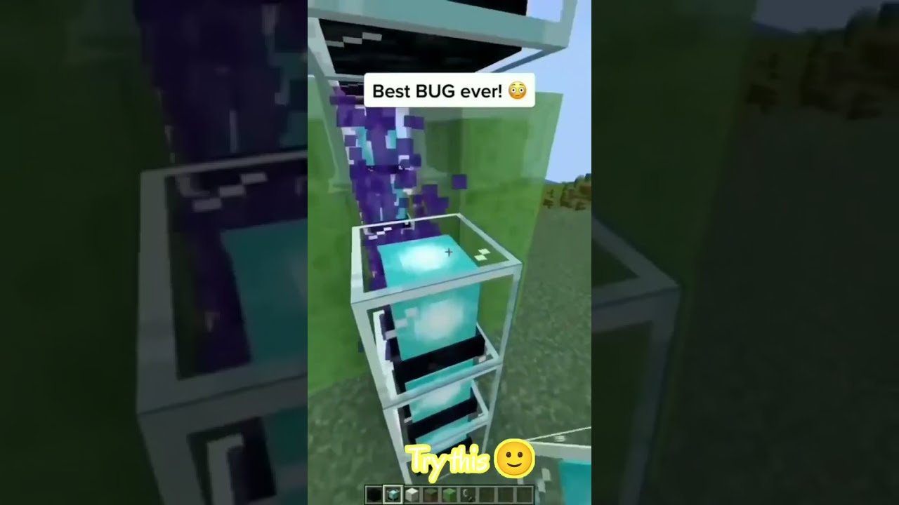 Best Bug Minecraft #minecraft #shorts #minecraftbugs