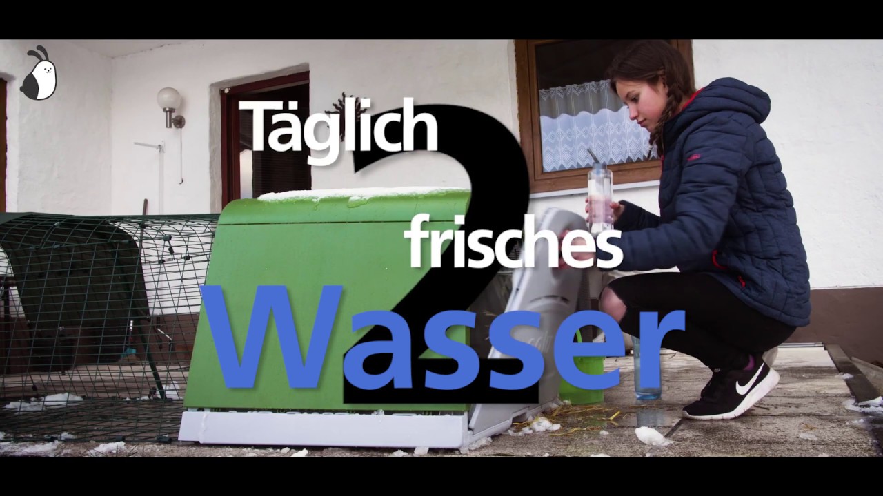 Winter Tips for your Hutch | Omlet Haustierprodukte