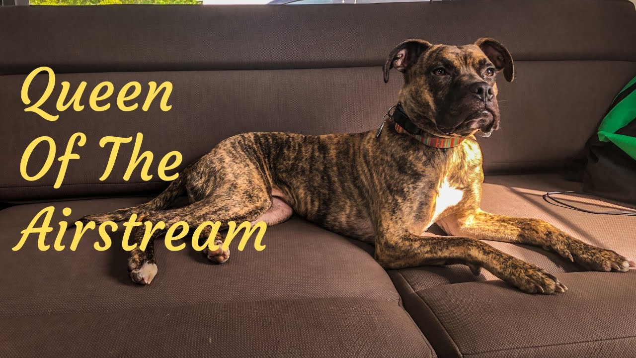 Florida RV Travel/Pine Island KOA/Airstream Living