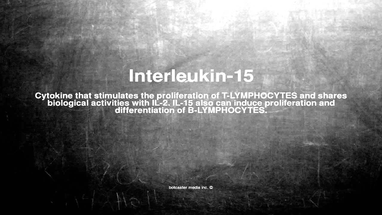 Medical vocabulary: What does Interleukin-15 mean