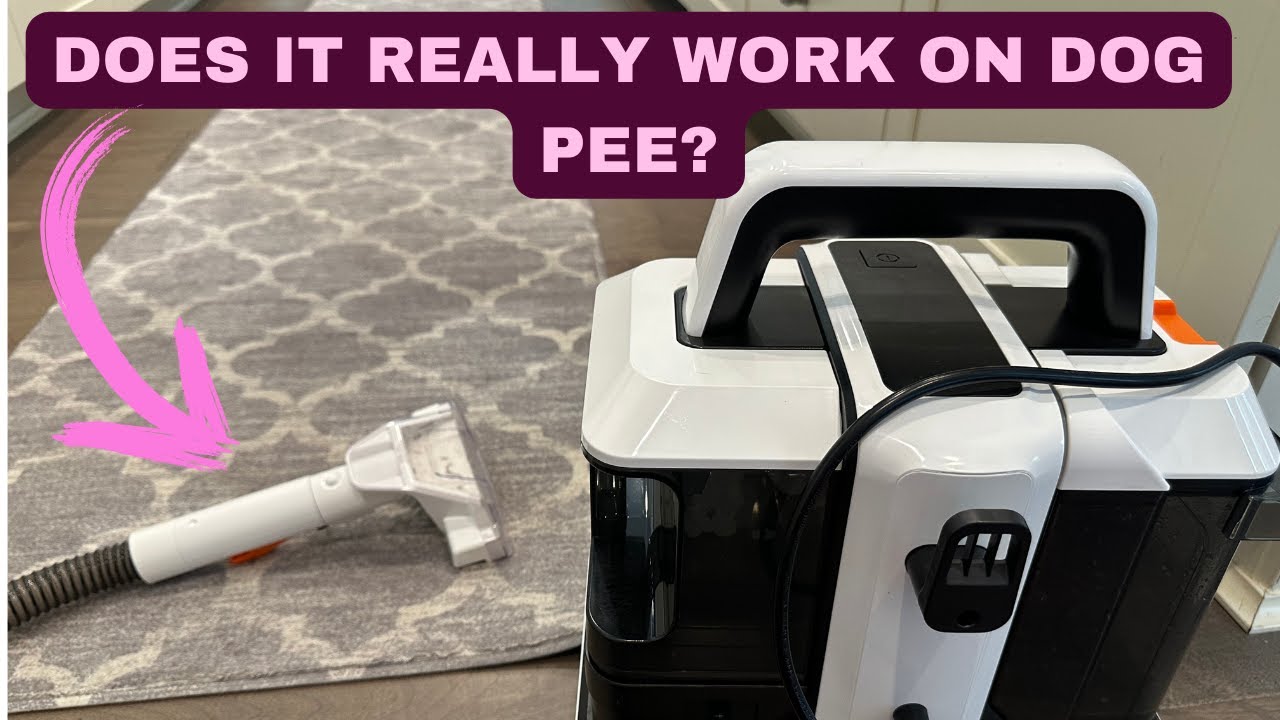 Portable Carpet Cleaner Review: Best Deep Stain Remover For Pets, Cars, And Furniture