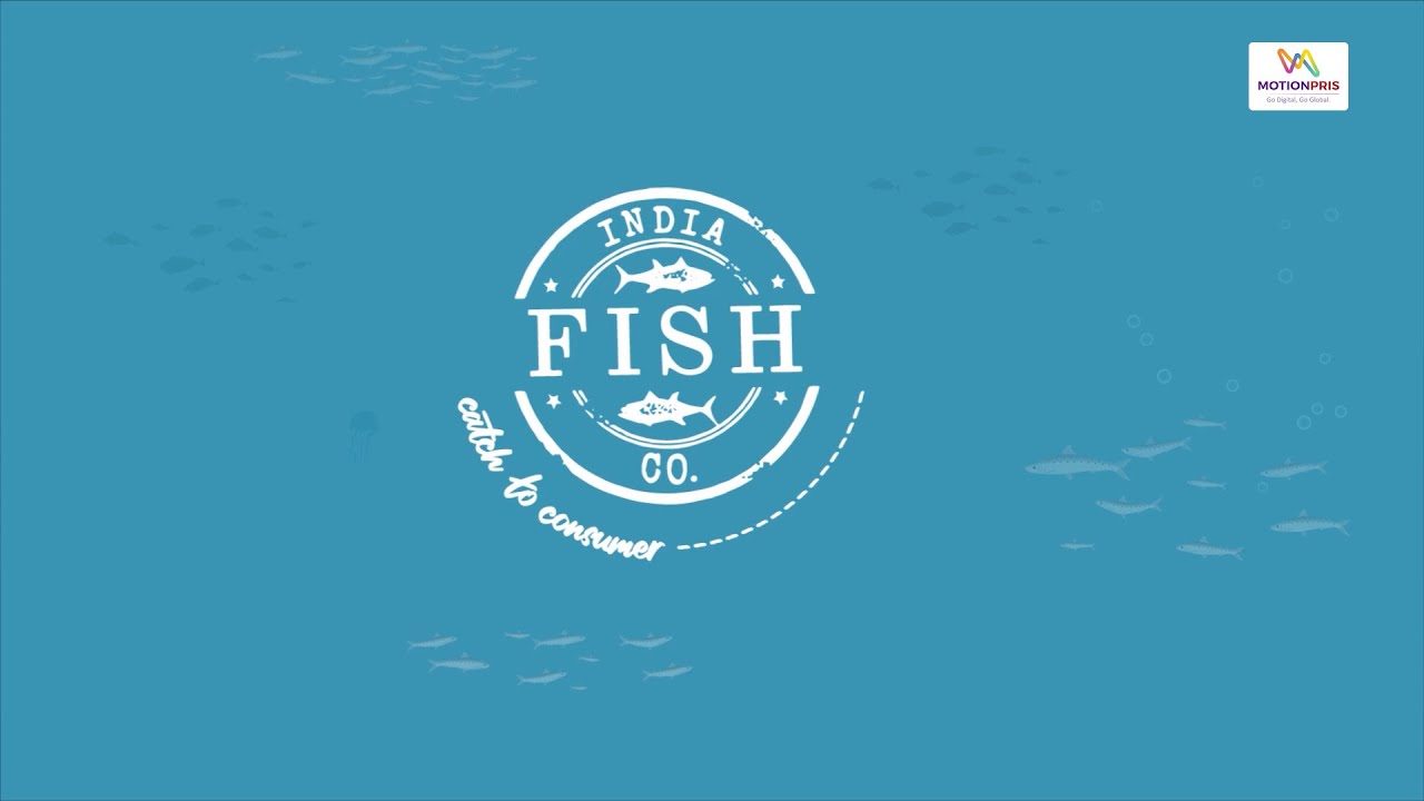 India Fish Company | Explainer Animation | Seafood Supply Chain Explained with Characters