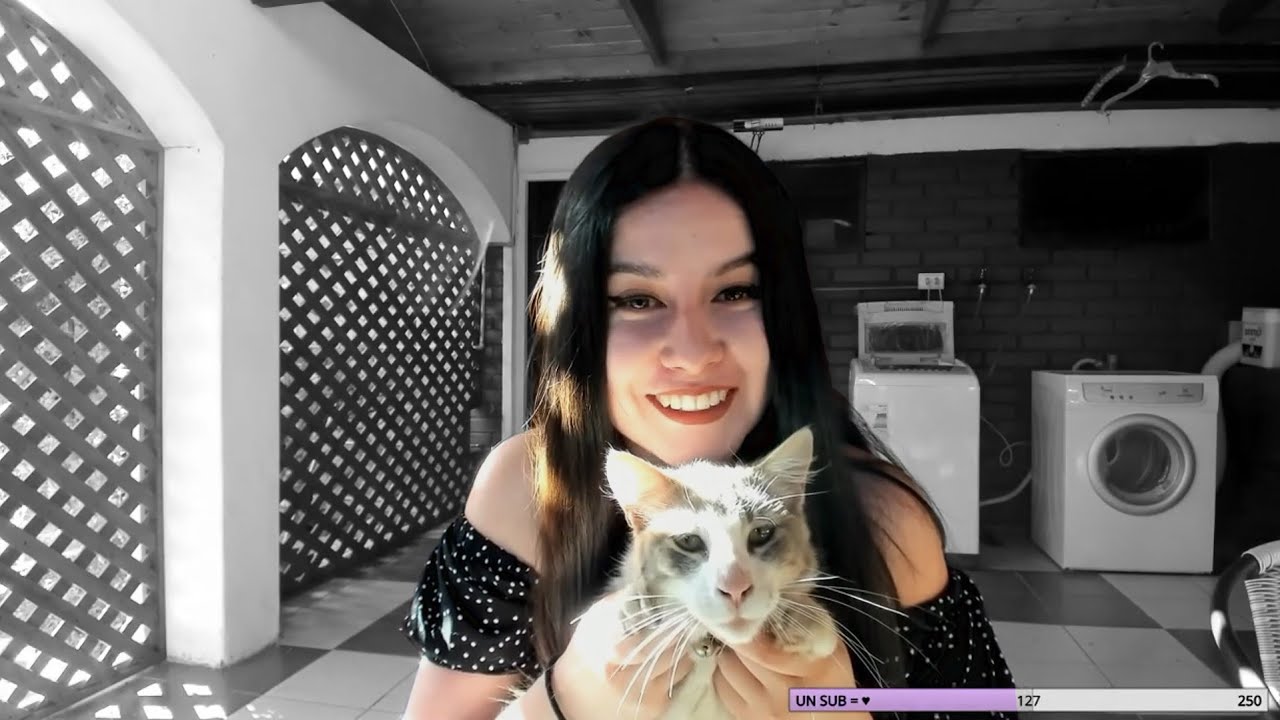 GATO NARIGÓN 😸 (CLIPS DE TWITCH)