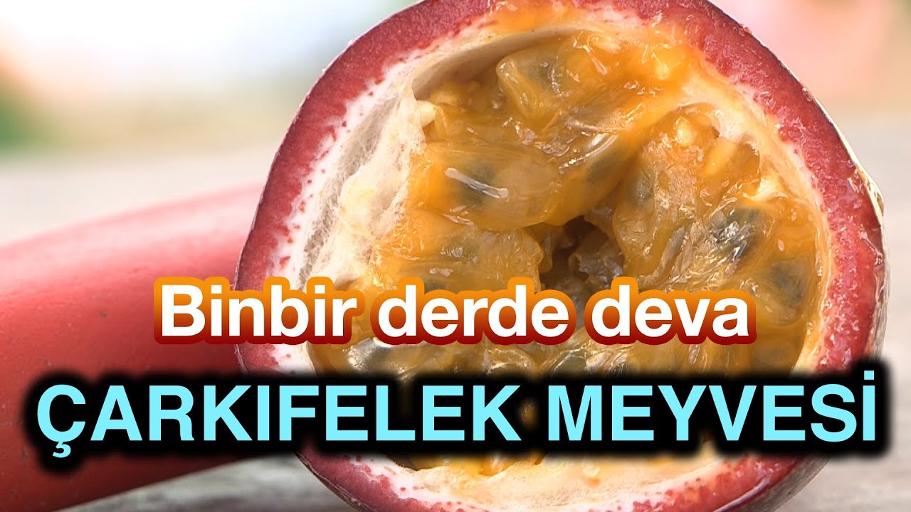Binbir Derde Deva Çarkıfelek Meyvesi - Toprak Bacı