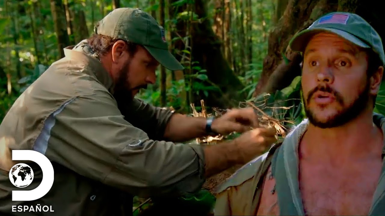Joe usa nido de termitas para hacer fuego en la selva | Desafío x 2 | Discovery en Español