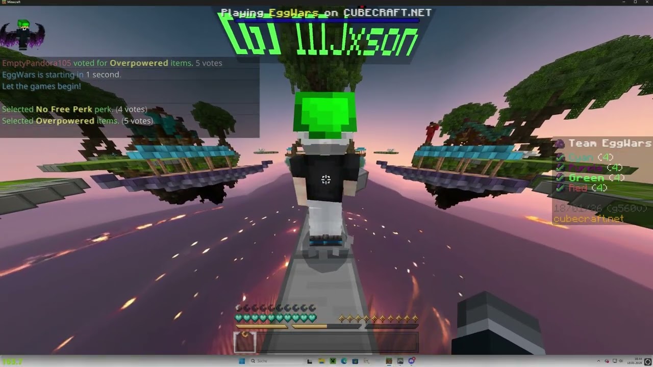 pls vote, should I ban Jxson or not xd?