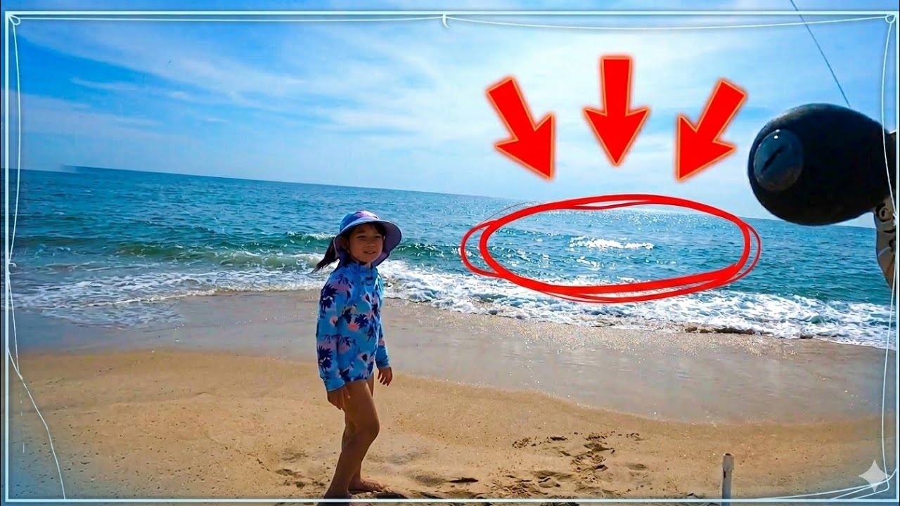 Fishing Multi Species in NJ Beach #fishing #shorefishing #beach #njfishing #stingray