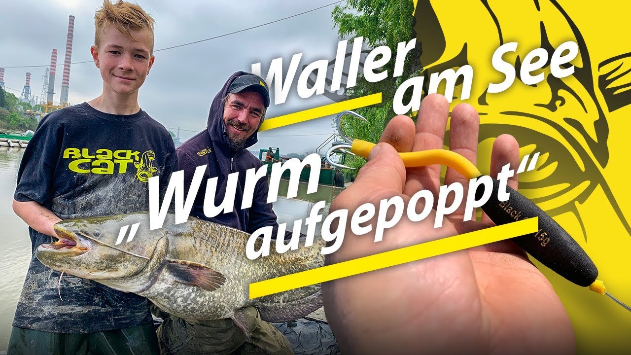 Auf Wels am See und Teich | Tauwurm-Pop Up Montage | Wallerangeln in Deutschland
