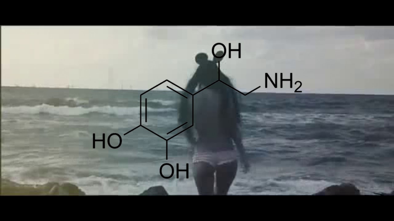 Kocur - Dopamine