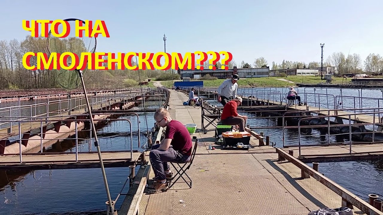 А что клюёт сейчас на Смоленском рыбхозе???