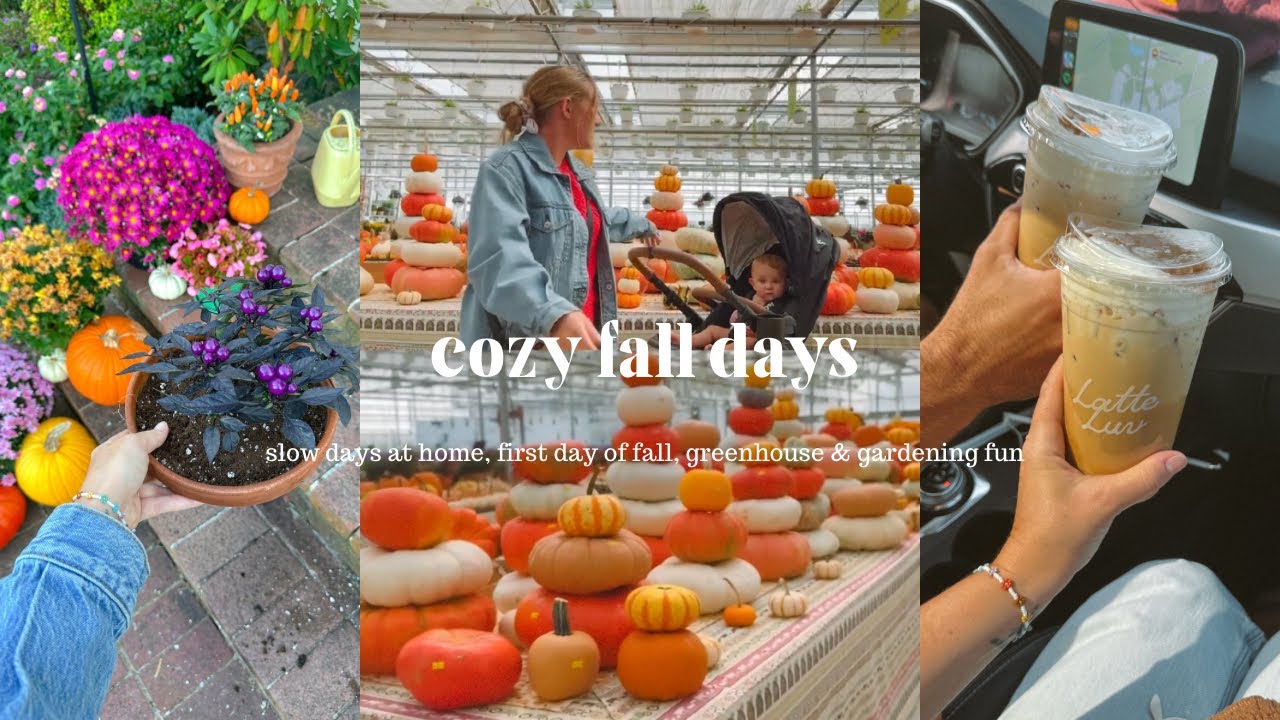 The Perfect Fall Days | Cozy days at home and a greenhouse trip 🍂🍄