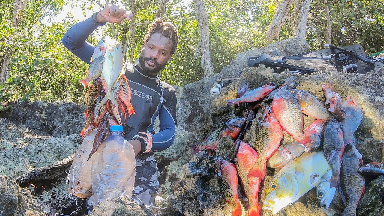Spearing Some Big String Of Fish With A Small Gun #Spearfishing