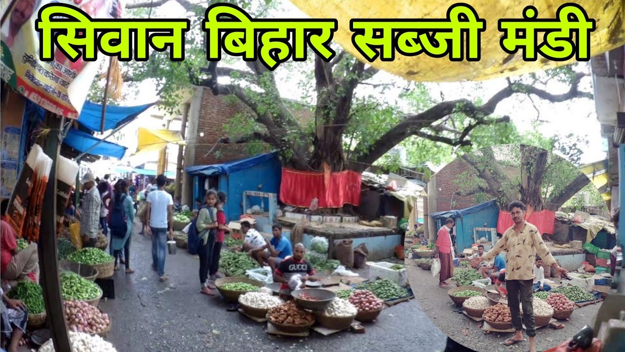 Vegetable Market Siwan Bihar | सिवान का सबसे बड़ा सब्जी मंडी कागजी मोहल्ला बाज़ार @Saveshvlogs