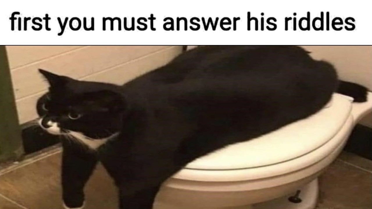 Cat Memes