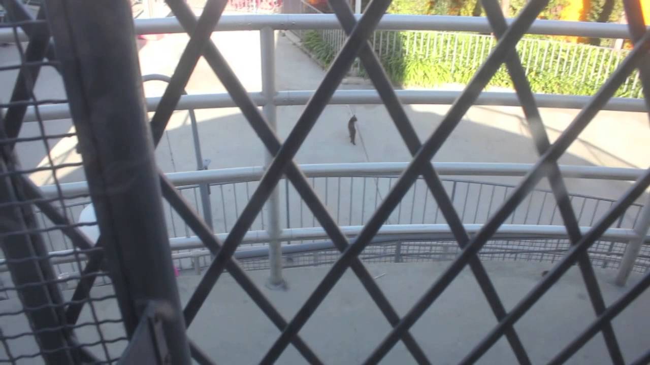 Knotts Berry Farm — первый в Америке тематический парк