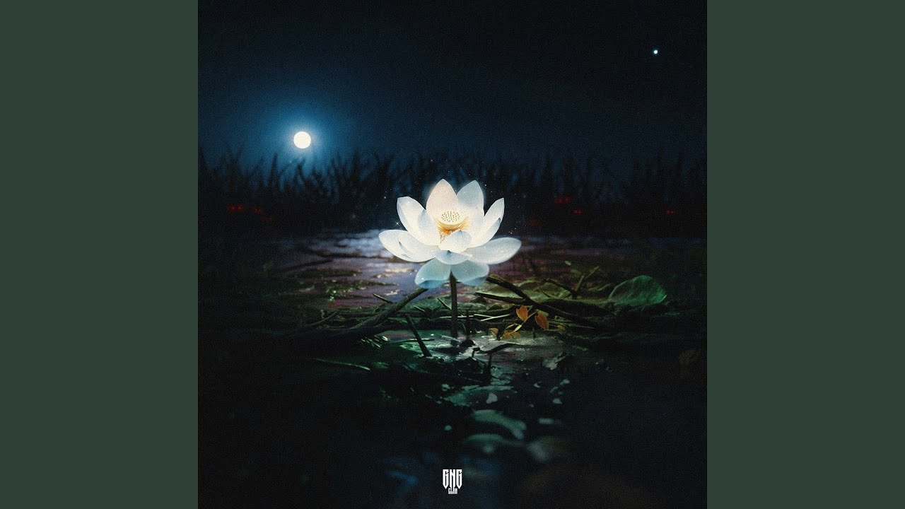 STILL V