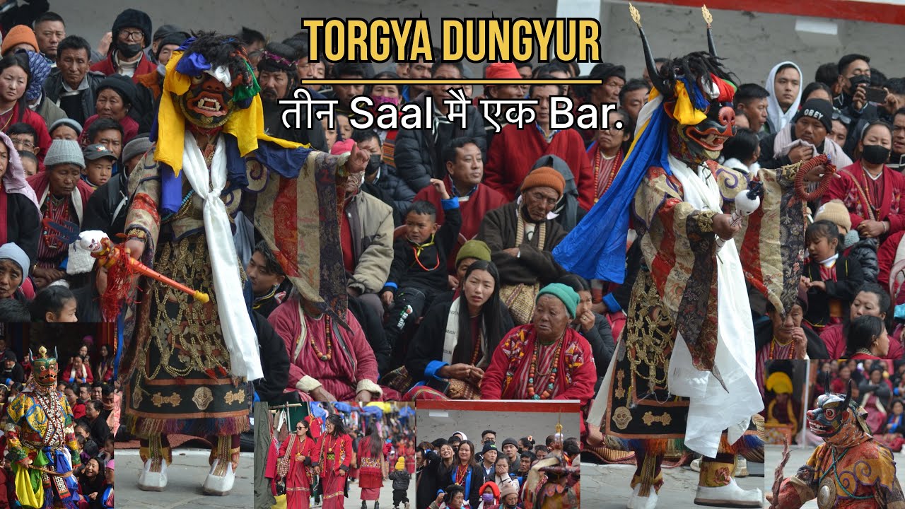 The wait is over || TORGYA Dungyur है इसबार  || Let the celebrations बिगिन्स.