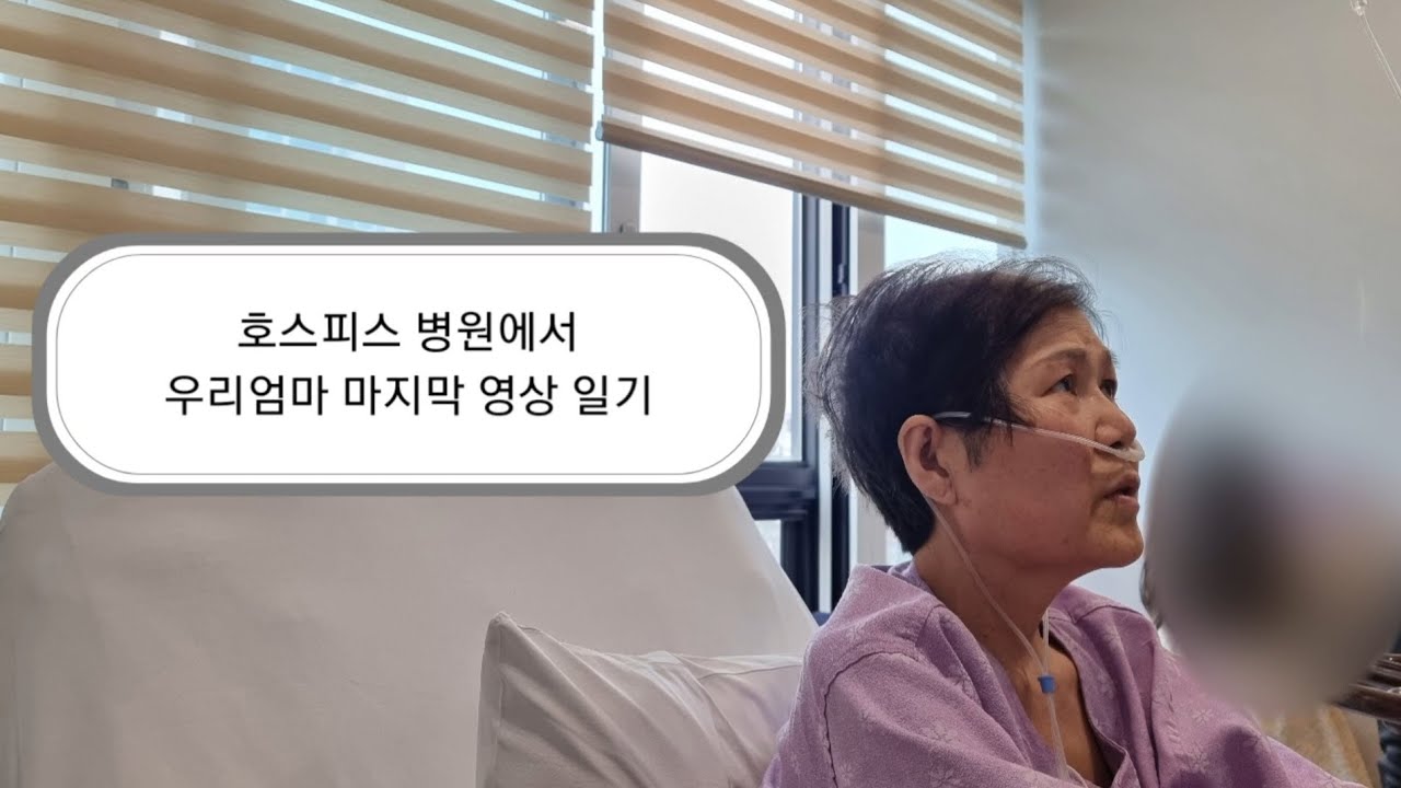 암환자 투병일기 임종 전 호스피스 병원에서의 마지막 날들 기록