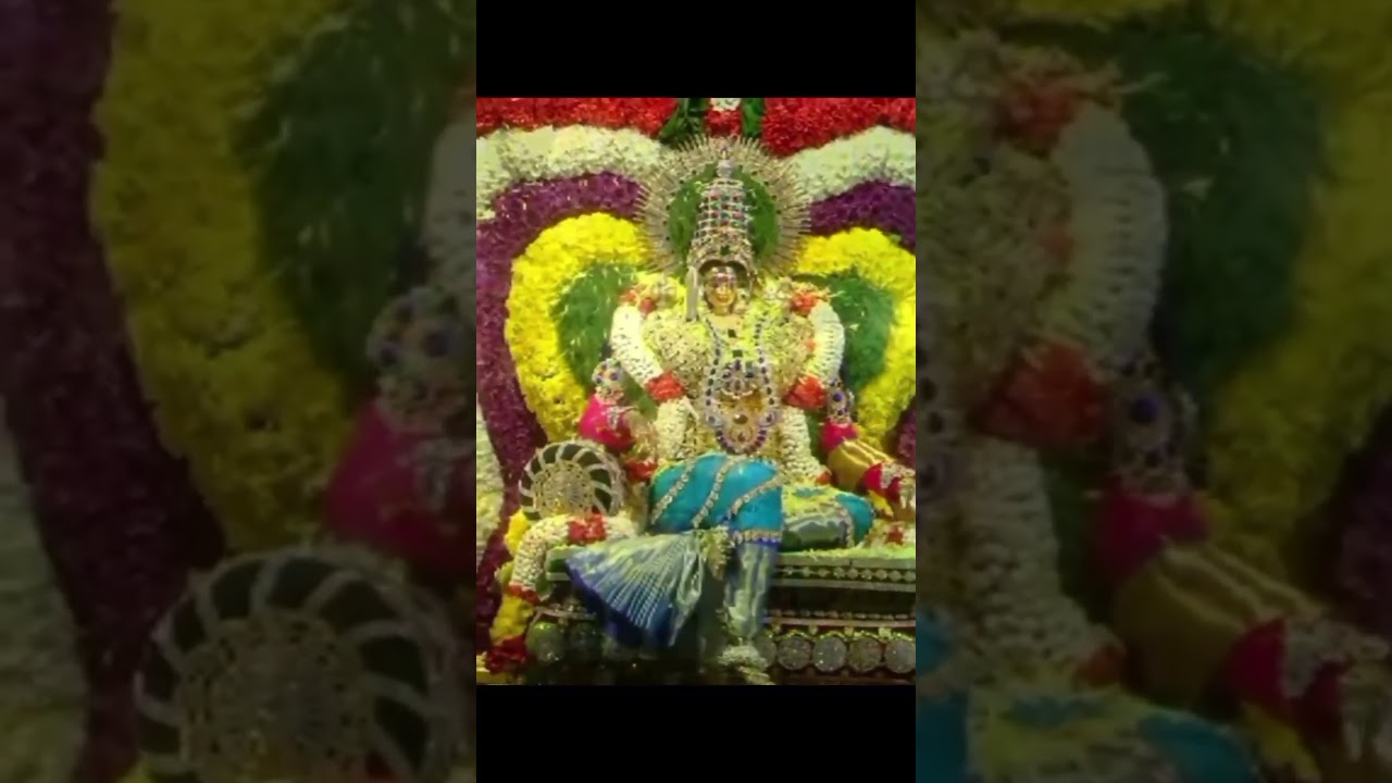 Malayanur angalamman 12/12/23 #malayanur #amavasaioonjal #angalamman #malayanurangalamman