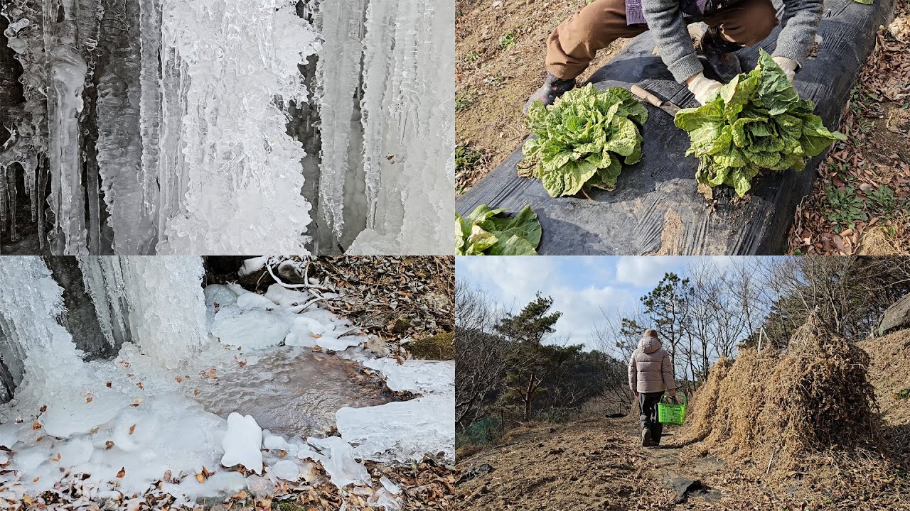 ❄️ 겨울이 빚어낸 고드름 l 🥬 달큰한 겨울나물과 🐟 지글지글 고등어구이 l Winter's Art: Icicles and a Warm Country Table