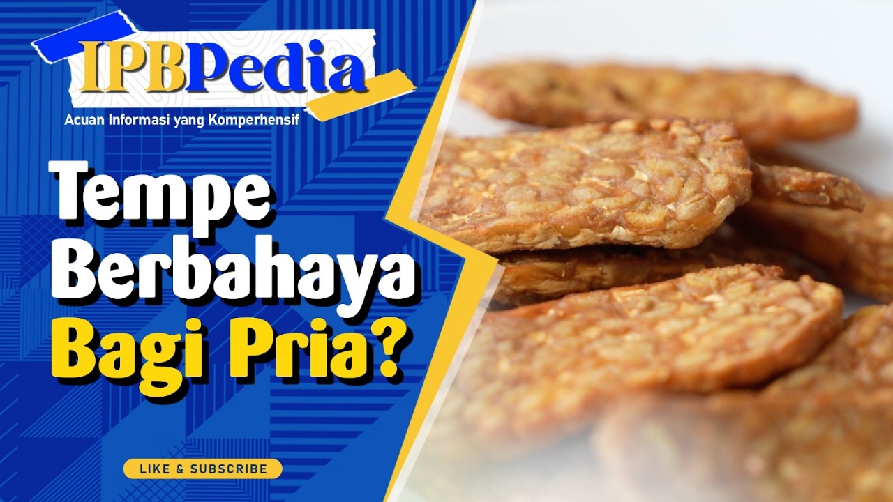 IPB Pedia: Penjelasan Ilmiah tentang Keamanan Konsumsi Tempe bagi Pria