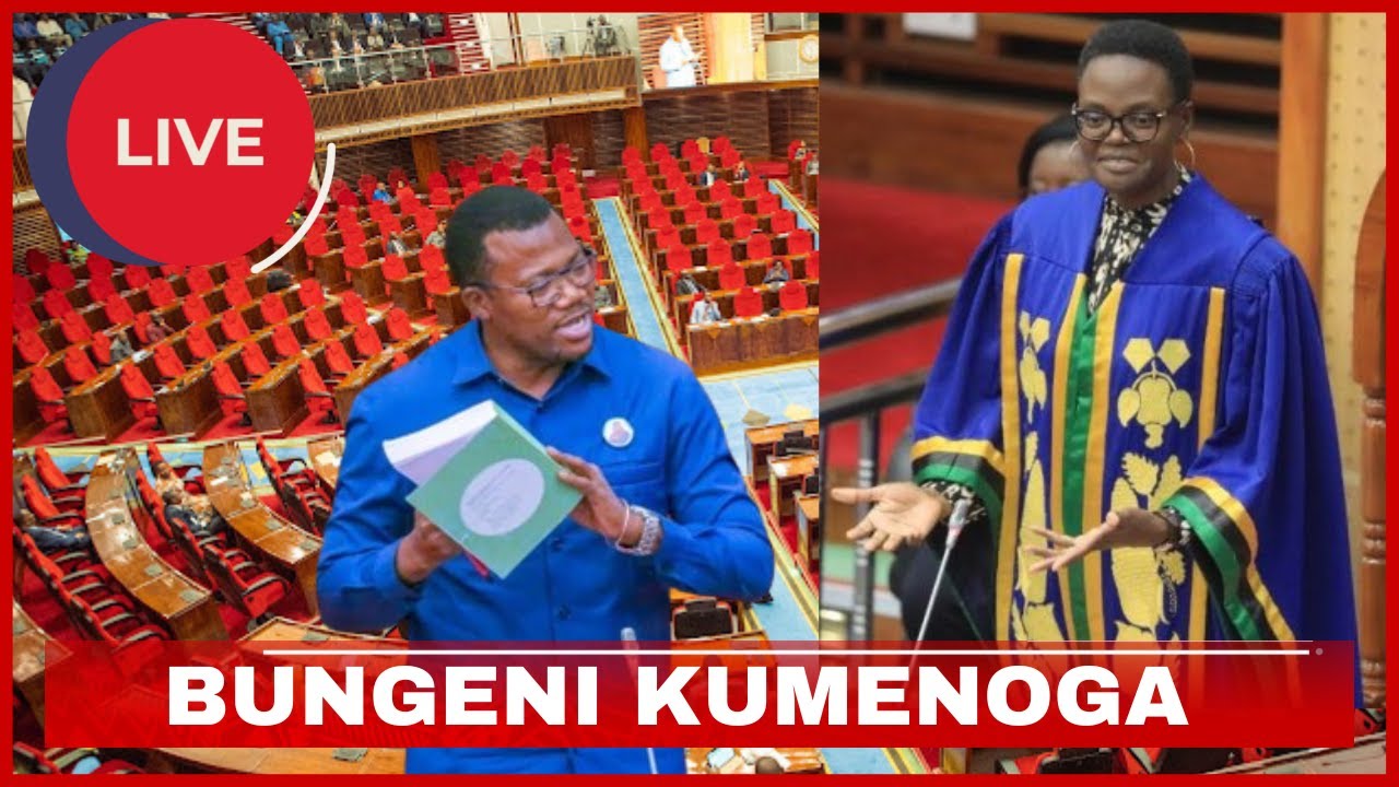 🔴LIVE: BUNGENI KUMENOGA! BUNGE LA KUMI NA MBILI MKUTANO WA 17 KIKAO CHA KWANZA TAREHE 29